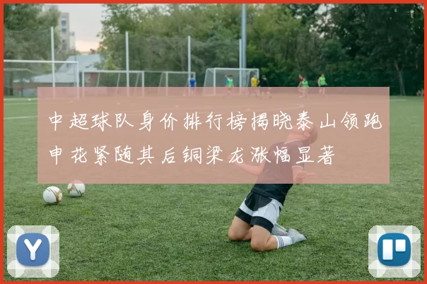 中超球队身价排行榜揭晓泰山领跑申花紧随其后铜梁龙涨幅显著
