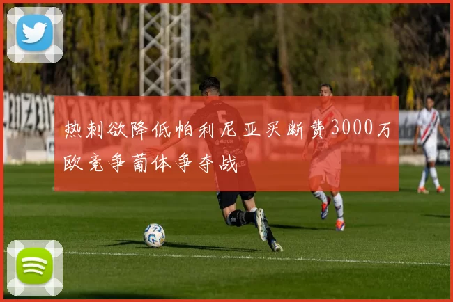 热刺欲降低帕利尼亚买断费3000万欧竞争葡体争夺战