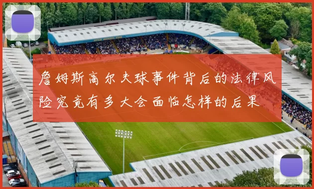 詹姆斯高尔夫球事件背后的法律风险究竟有多大会面临怎样的后果
